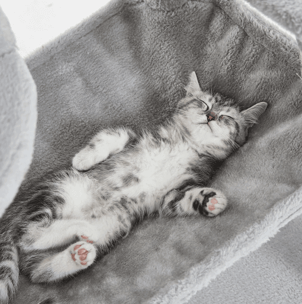 Ansamblu de Joaca Mare 4