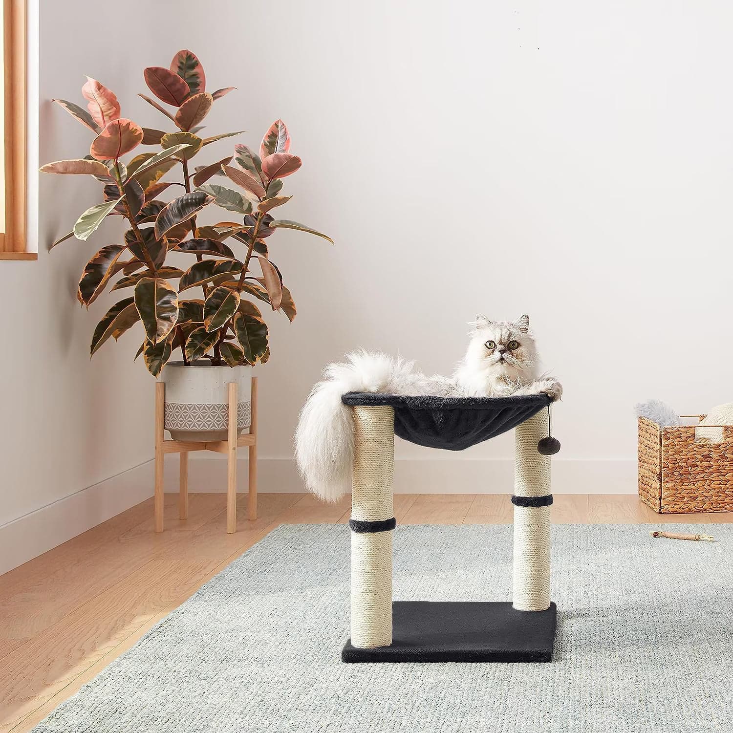 Ansamblu de Joaca cu Bila Mediu 2