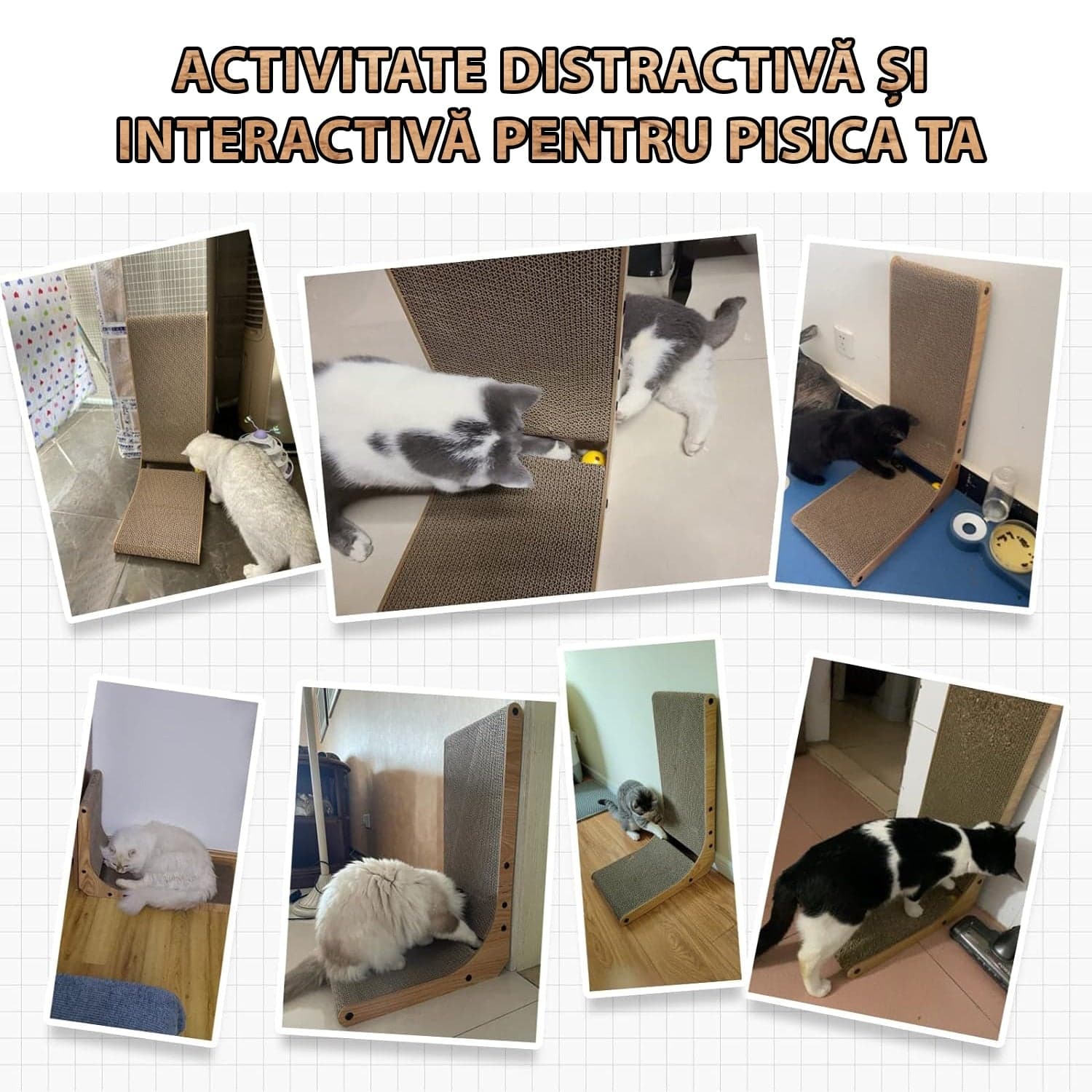 Ansamblu de Joaca Vertical L 2