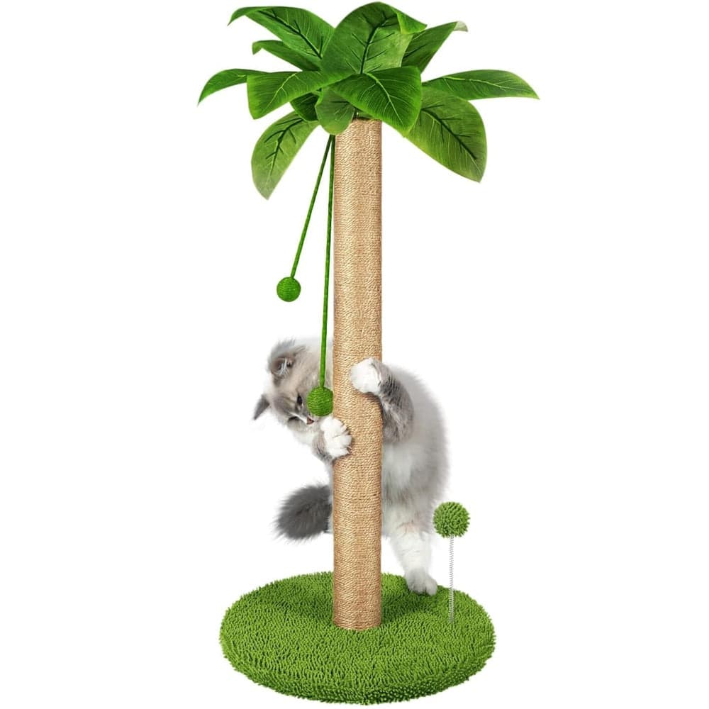 Ansamblu de Joaca pentru Pisici 3